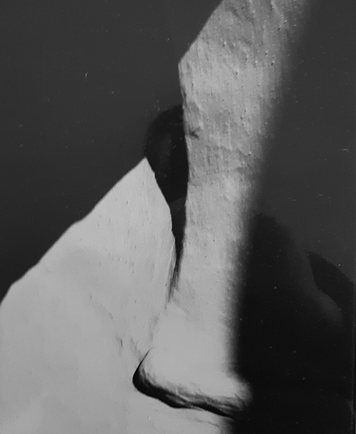 © Paule Gauer